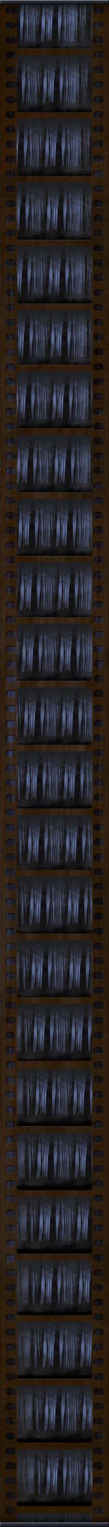 filmstrip scale